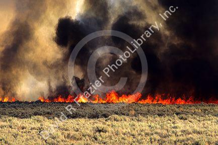 Heat waves distort the flames from a brush fire east of Boise, Idaho.