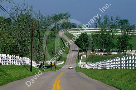 Old Frankfort Pike near Lexington, Kentucky.