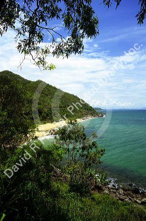 The coastline near Port Douglas, Australia.