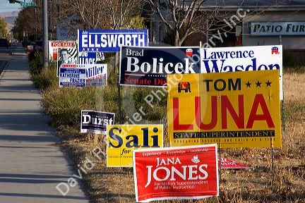 Politician candidate campaign signs in Boise, Idaho.