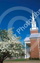 Methodist church in Talequah, Oklahoma with a blooming dogwood tree in the foreground.