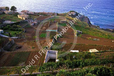 Terraced farms at Banyalbufar, Majorca, Spain.