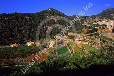 Terraced farms at Banyalbufar, Majorca, Spain.
