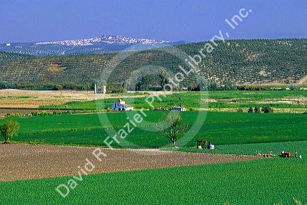 A farm scene near Santa Cruz, Spain.