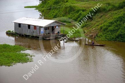 Housing on the Arasa River in the Amazon jungle near Manaus, Brazil.