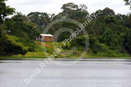 Housing along the Arasa River in the Amazon jungle near Manaus, Brazil.