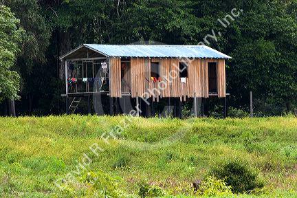 A house on stilts in the Amazon jungle near Manaus, Brazil.