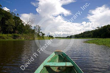 The bow of a dugout canoe on the Arasa River in the Amazon jungle near Manaus, Brazil.