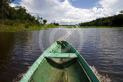 The bow of a dugout canoe on the Arasa River in the Amazon jungle near Manaus, Brazil.