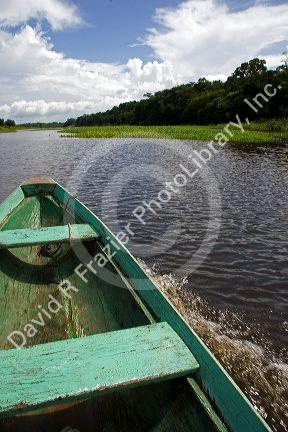 The bow of a dugout canoe on the Arasa River in the Amazon jungle near Manaus, Brazil.