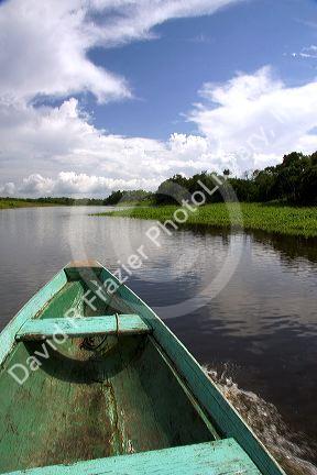 The bow of a dugout canoe on the Arasa River in the Amazon jungle near Manaus, Brazil.