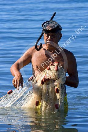 Tahitian man wearing a snorkle and mask fishing with a net in the lagoon off the island of Tahiti.