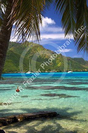 Sailboats anchored in the lagoon off the island of Moorea.
