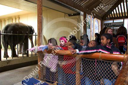 Children pointing at an elephant exhibit at the National Zoo in Washington, D.C.
