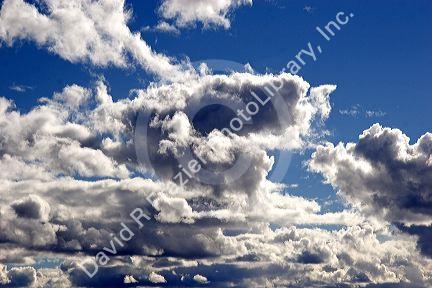 Cumulus clouds against a blue sky.