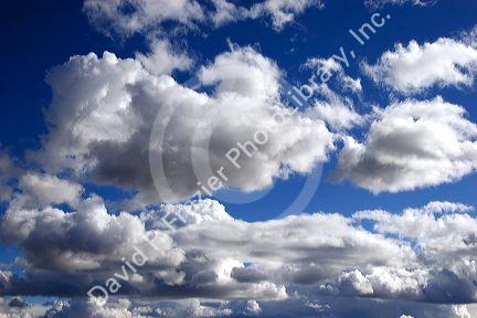 Cumulus clouds against a blue sky.