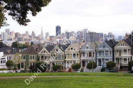 Victorian housing near Alamo Park in San Francisco, California.