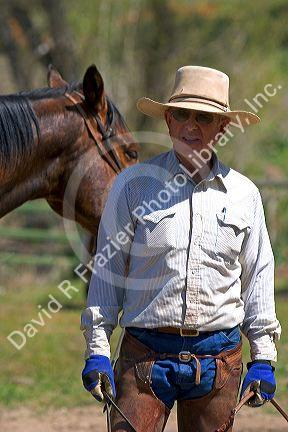 Cowboy at a cattle round up near Emmett, Idaho.
