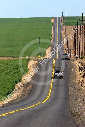 Trucks travel on a coutry road surrounded by green unripe wheat fields near Pendleton, Oregon.