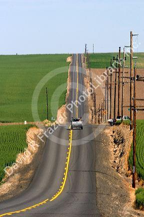 Trucks traveling on a country road surrounded by green unripe wheat fields near Pendleton, Oregon.