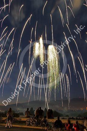 People watch a Fourth of July fireworks display in Boise, Idaho.