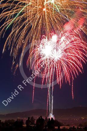 People watch a Fourth of July fireworks display in Boise, Idaho.