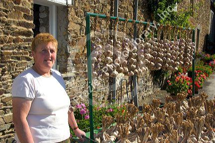 French woman selling garlic at Saint-Broladre in the  Brittany  province of France.