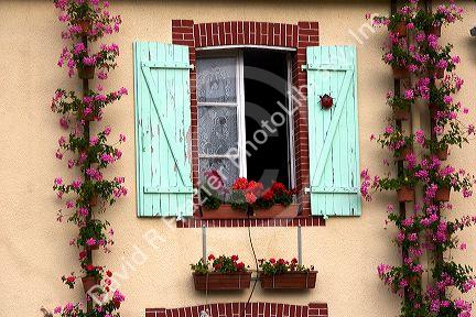 House with a nice display of geraniums in the department of Manche, France.