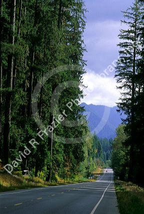 Highway through Olympic National Park in Washington.