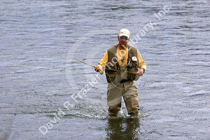 Fly fishing on the Henrys Fork of the Snake River in southeastern Idaho.