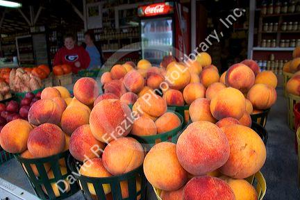 Peaches being sold at a fruit stand near Albany, Georgia.