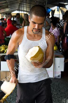 Hawaiian man cutting the husk off of a coconut at a market in Hilo on the Big Island of Hawaii.