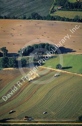 Aerial view of a peanut harvest in Georgia.