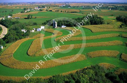 Aerial view of contour strip farming corn and alfalfa hay in Southwest Wisconsin.