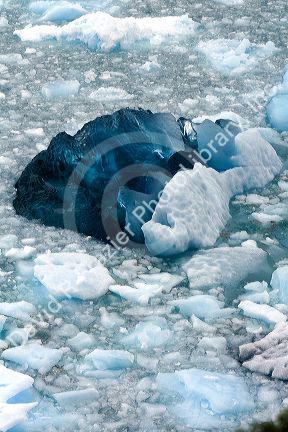 Blue ice from the Perito Moreno Glacier located in the Los Glaciares National Park in the south west of Santa Cruz province, Patagonia, Argentina.