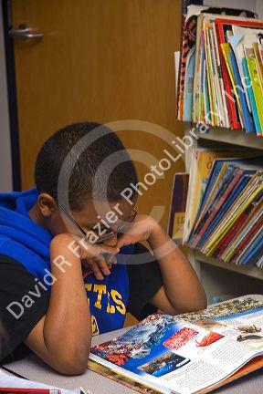 Fourth grade student reads a textbook in a classroom in Tampa, Florida.