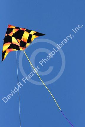 Kite flying in a blue sky at Galveston, Texas.