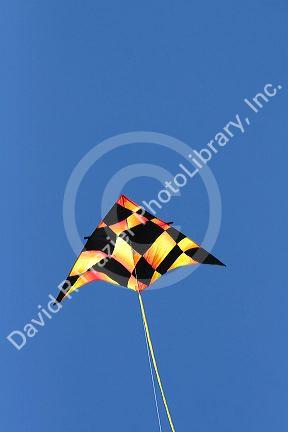 Kite flying in a blue sky at Galveston, Texas.