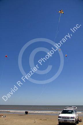 Kite flying at Galveston Beach on the Gulf of Mexico in Galveston, Texas.