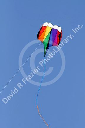 Kite flying in a blue sky at Galveston, Texas.
