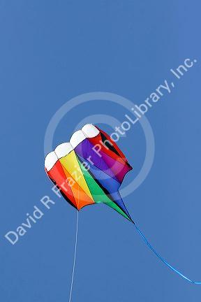 Kite flying in a blue sky at Galveston, Texas.
