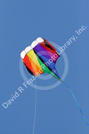 Kite flying in a blue sky at Galveston, Texas.