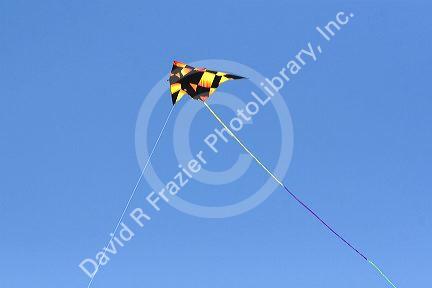 Kite flying in a blue sky at Galveston, Texas.