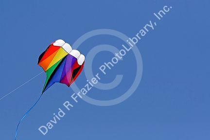 Kite flying in a blue sky at Galveston, Texas.