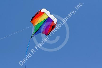 Kite flying in a blue sky at Galveston, Texas.