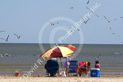Galveston Beach on the Gulf of Mexico in Galveston, Texas.