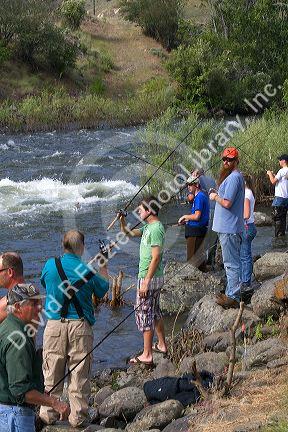 Chinook Salmon fishing on the banks of the Little Salmon River near Riggins, Idaho.