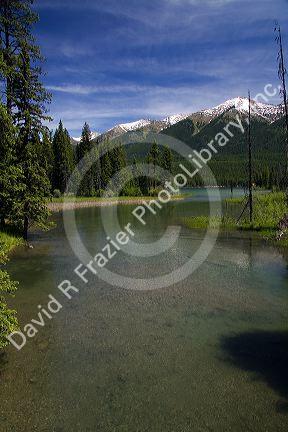 The outlet creek of Holland Lake in the Flathead National Forest near Condon, Montana.