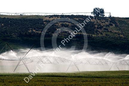 Sprinkler irrigation of a wheat field in Elmore County, Idaho.