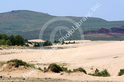 Sand dunes at St. Anthony, Idaho.